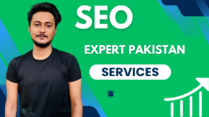 WordPress SEO expert in Pakistan